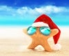 Starfish wearing a santa hat on the beach