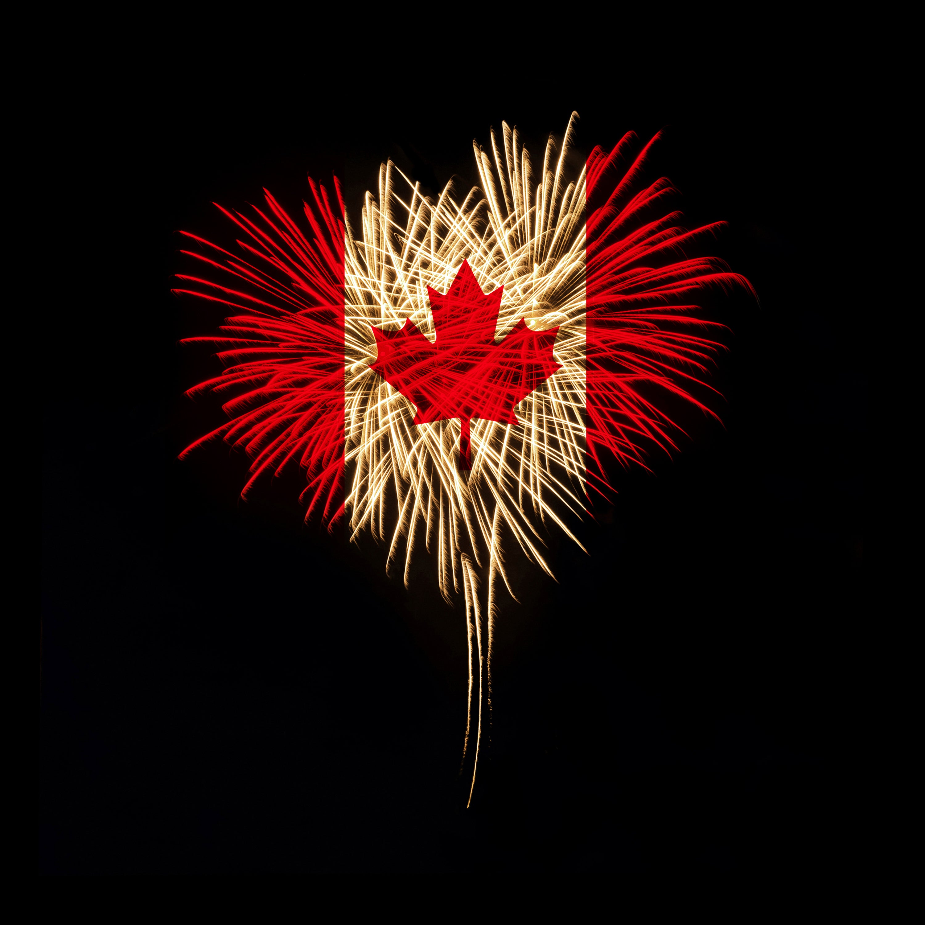Firework  Canadian flag