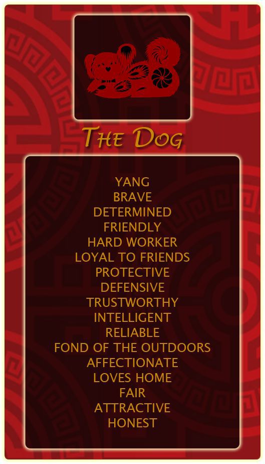 Characteristics of dog people