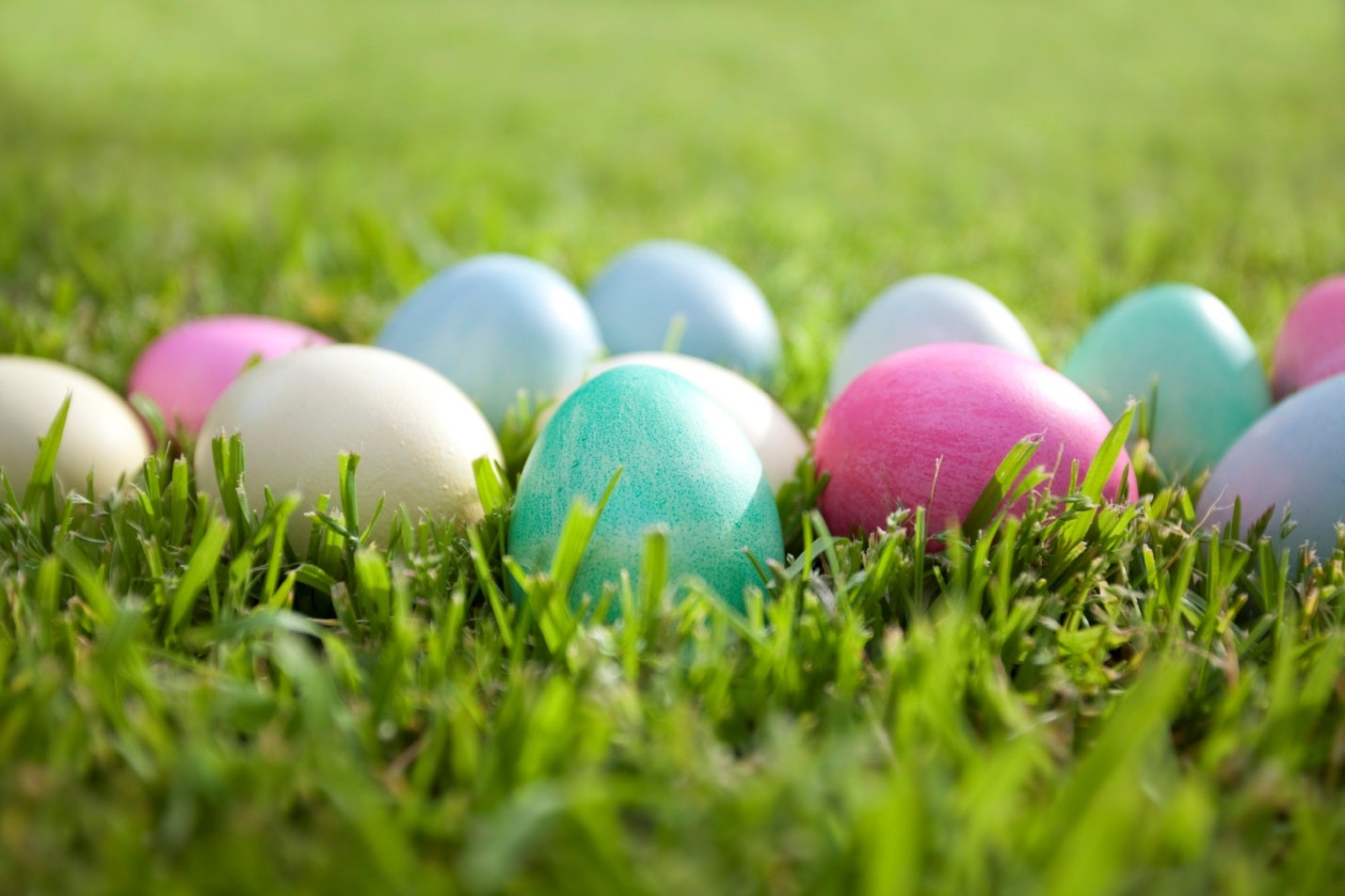 coloured eggs on grass