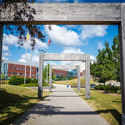 Walking path to enter the University of Waterloo