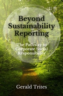 Beyond sustainability reporting book cover