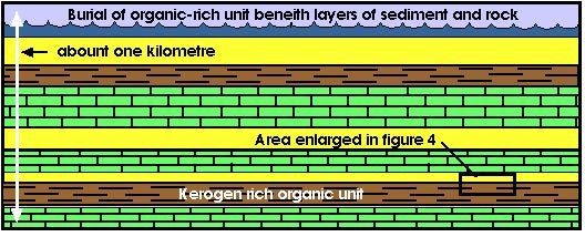 burial of the organic-rich sediment under more layers of sediment