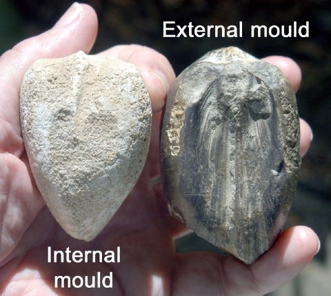 Internal and External Casts