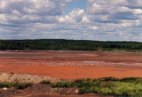 The same tailings impountment as Figure A (above) after 7 years of sulfide oxidation