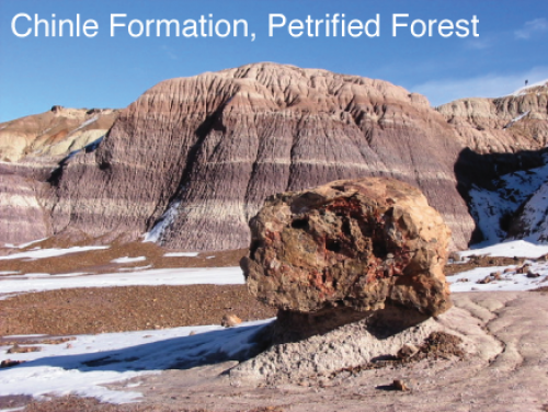 Chinle Formation, Petrified Forest