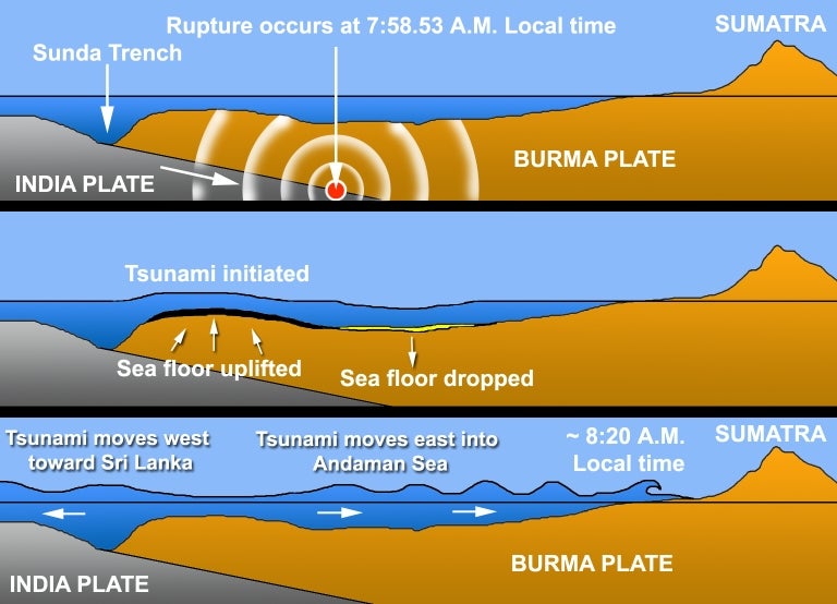 The initiation of the megathrust earthquake and tsunamis