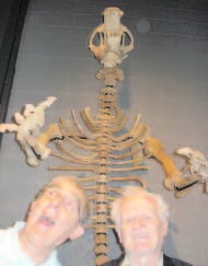 Curator Peter Russell (left) with donor Frank Brookfield and the cave bear