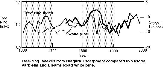 three-ring indexes from Niagara Encarpment compared to Victoria Park elm and Bleams Road white pine