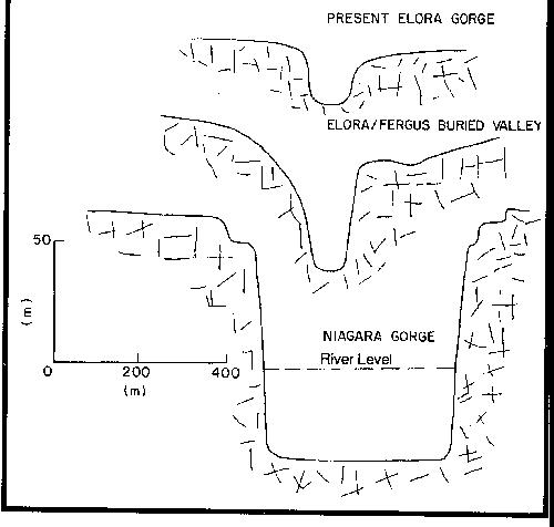 A comparison of the cross - sections of the present Elora Gorge (in the Gorge Park) and the Niagara Gorge (by the Whirlpool), with that of the ancient gorge benearth Nichol Township Rd. 6 southwest of its intersection with Concession Rd 1.