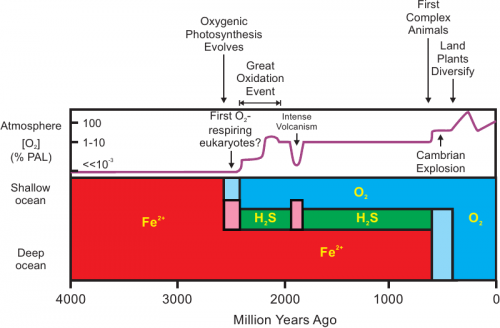 Figure 1. Earth's surface oxygenation through time and its relationship to significant steps in biological evolution.