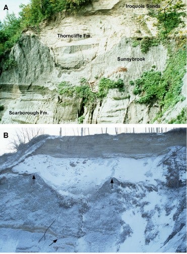 Ice scour in summer view (A) and winter view (B)
