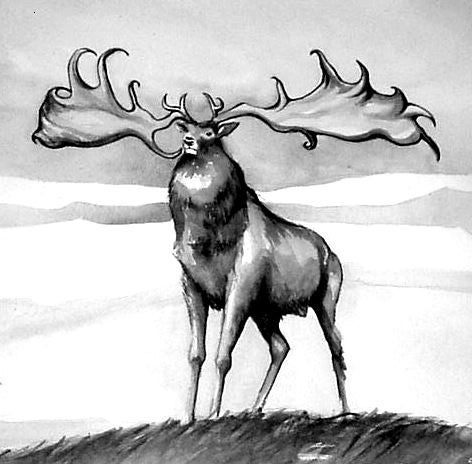 Irish elk sketch