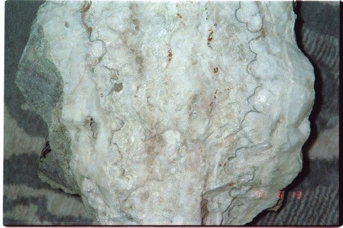 The paired thin brown dark bands in a quartz and adularia mixed layer are very small grain-sized aggregates of electrum