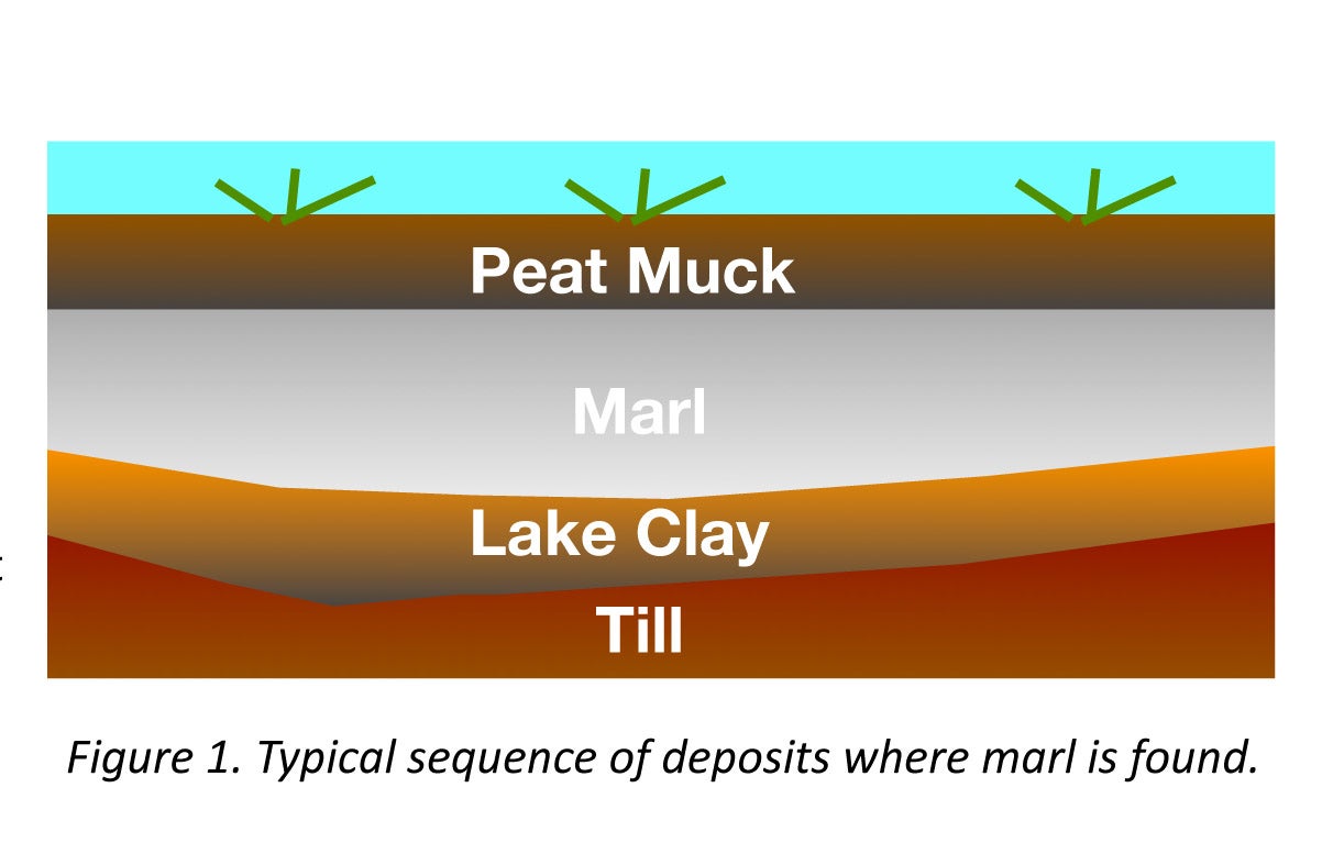 Typical sequence of deposits where marl is found.