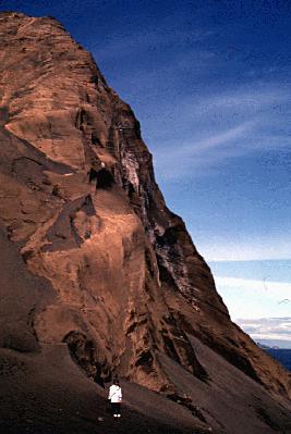 The high tephra cliffs forming the northeast side of Surtsey