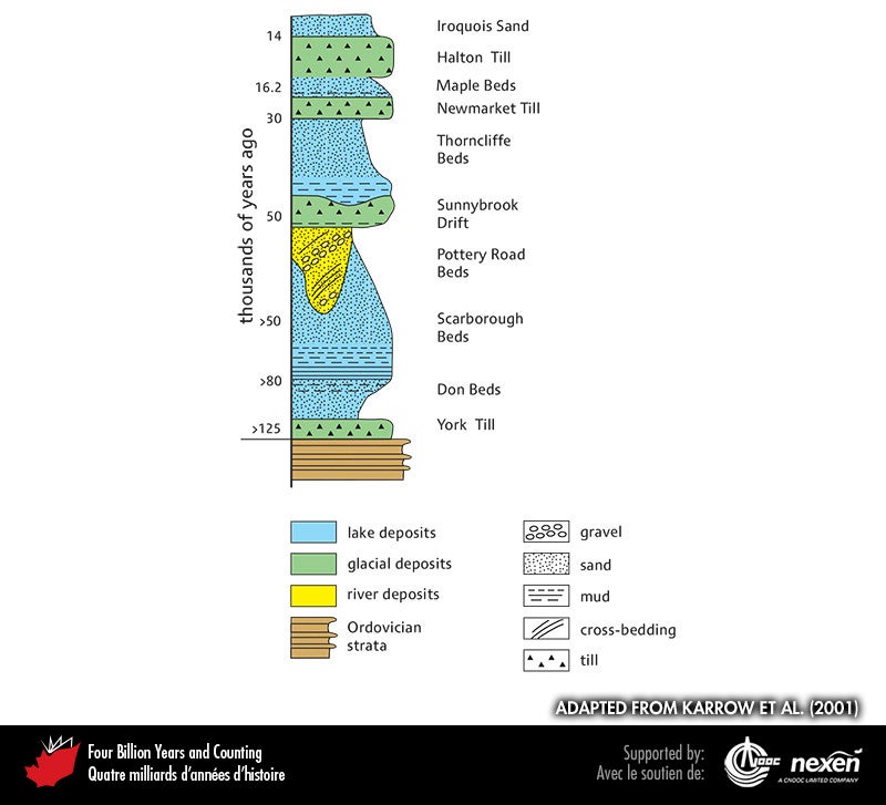 Graphic showing the layers of sediment in the Toronto area exposed in the Don Valley brickyard and Scarborough Bluffs. Starting at 14 thousand years ago is the Iroquois Sand followed by the Halton Till, at 16.2 thousand years ago is Maple Beds follwed by the Newmarket Till ending at 30 thousand years ago. Then the Thorncliffe Beds, Sunnybrook Drift ends at 50 thousand years ago, followed by Pottery Road Beds mixed with Scarborough Beds until >80 thousand years ago, which is followed by the Don Beds, and finally the York Till ending at >125 thousand years ago.
