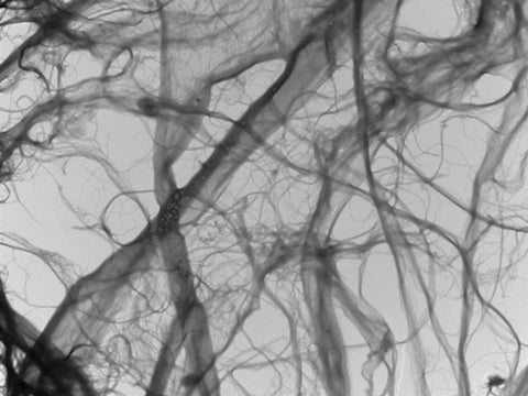 cellulose nanofibrils