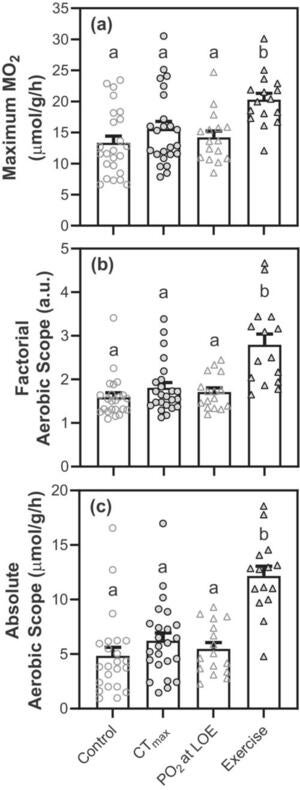  Maximum MO2 (a), factorial aerobic scope (b), and absolute aerobic scope (c) of fish recovering from a thermal, hypoxia, or exercise challenge that induced loss of equilibrium.