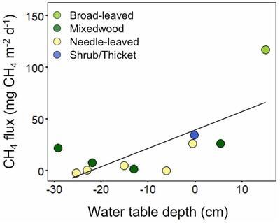 Graph showing swamp methane flux as a function of water table depth.