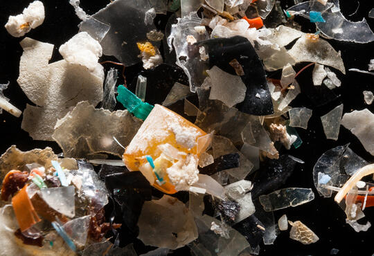 Microplastics