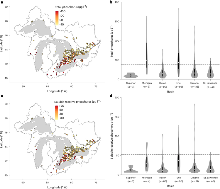 Phosphorus concentrations in streams across the Great Lakes Basin