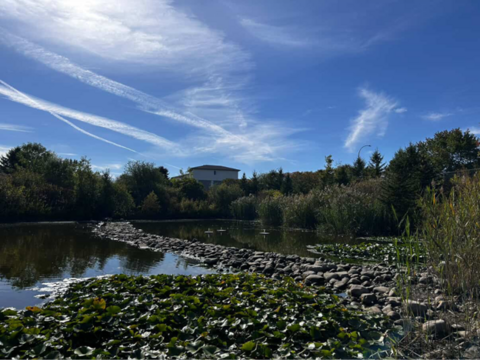 Stormwater pond infrastructure 
