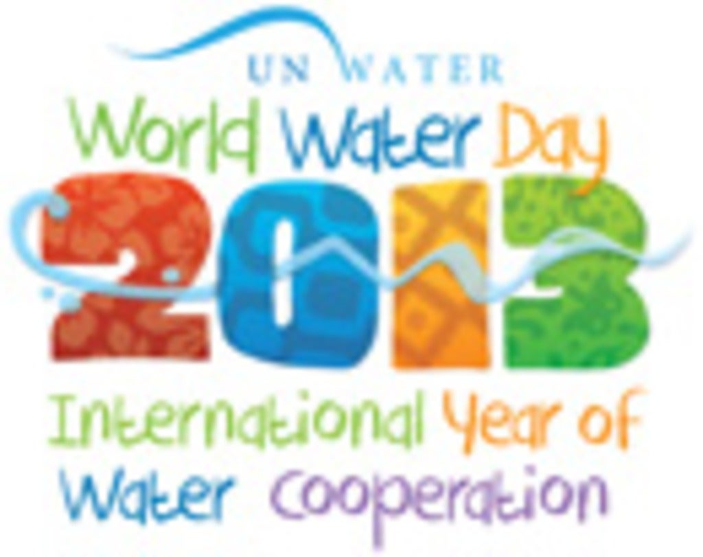 UN Water World Water Day 2013 logo.