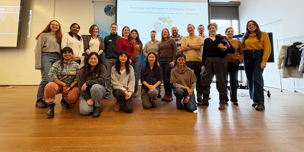 Workshop participants