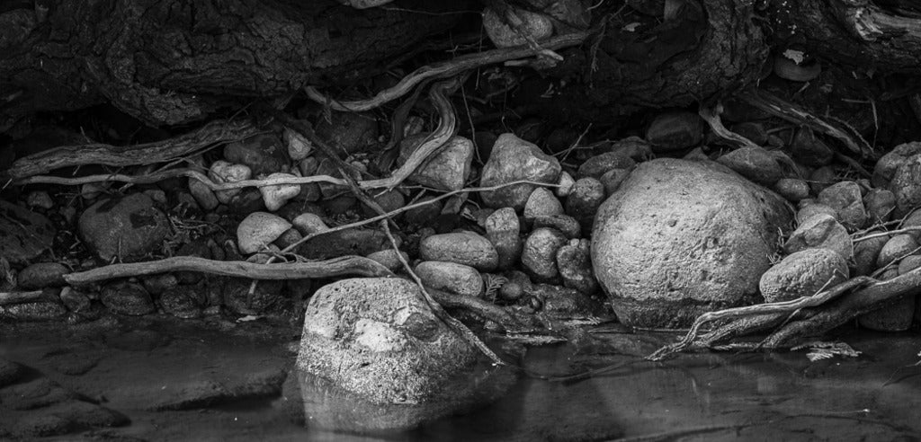 rob de loe original photography