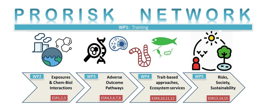 PRORISK banner
