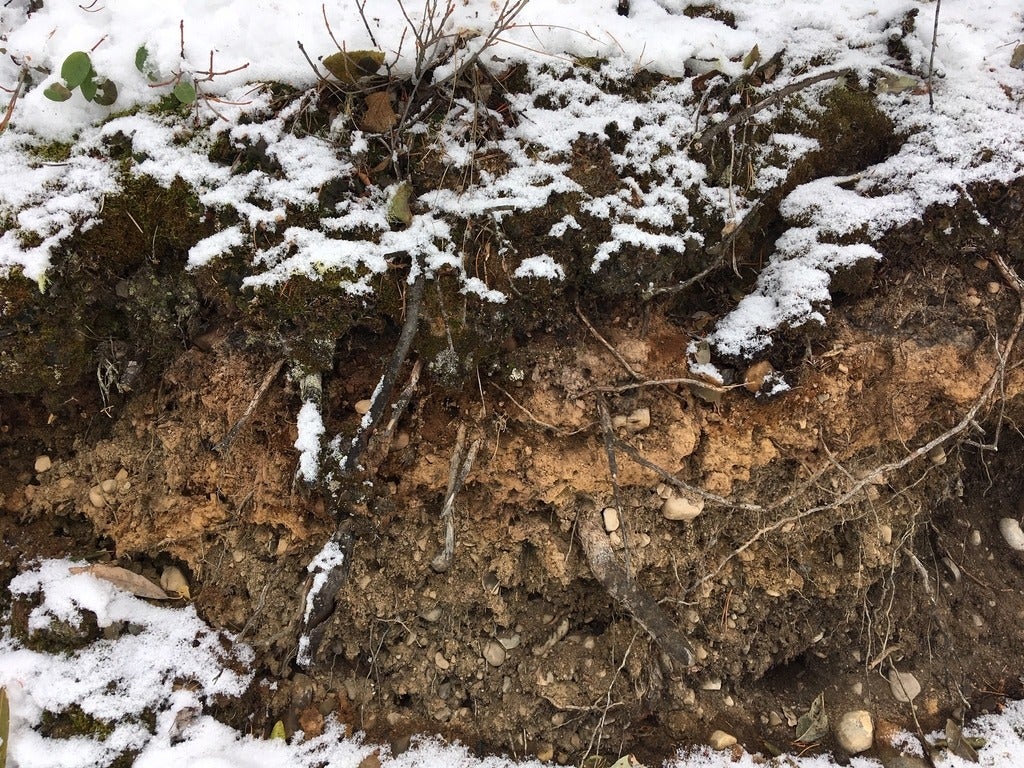 Trail near Banff Alberta October 2018