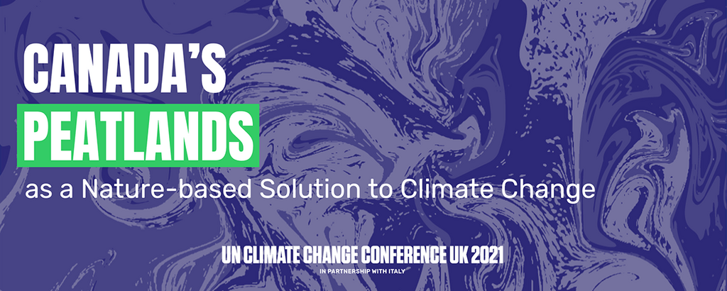 Peatlands banner