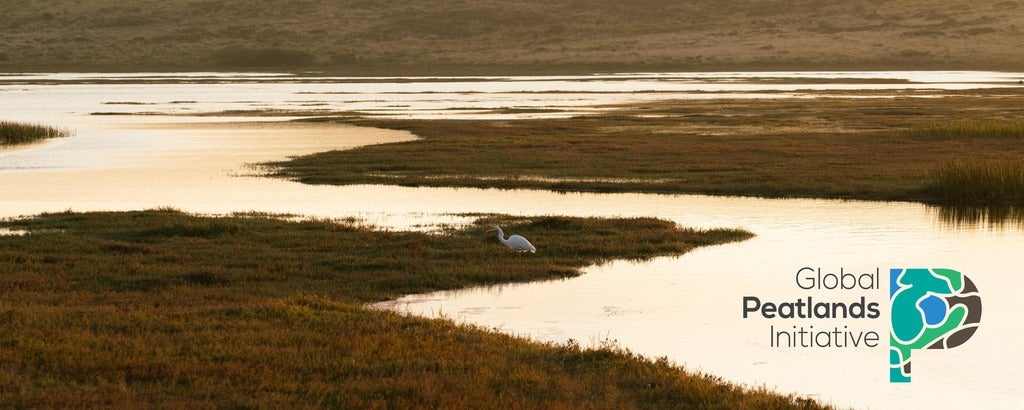 Peatlands banner