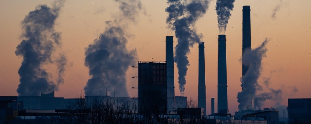 Photo by Ella Ivanescu on Unsplash