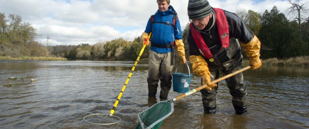 mark servos in river