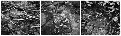 pictures of water landscapes in black and white by rob de loe