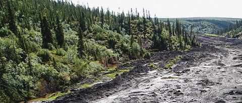 Peat image