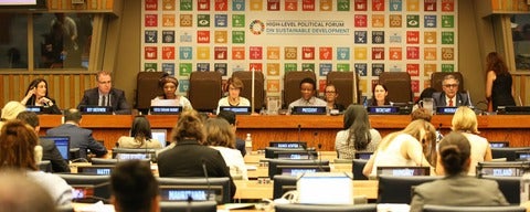 Roy Brouwer at the United Nations High-Level Political Forum on Sustainable Development 