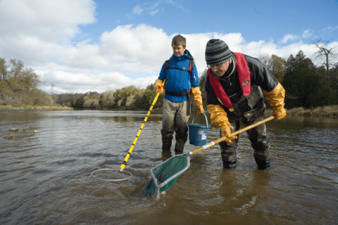Mark Servos in the water with student catching fish