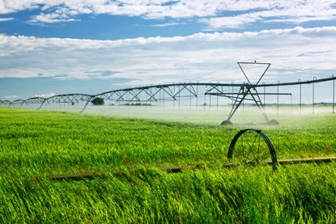 crop field water hydro