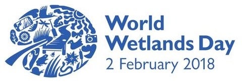 world wetlands day poster