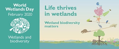 Wetlands Listing image