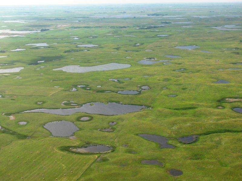 wetland landscape in the Prairie Pothole Region of the northern Great Plains