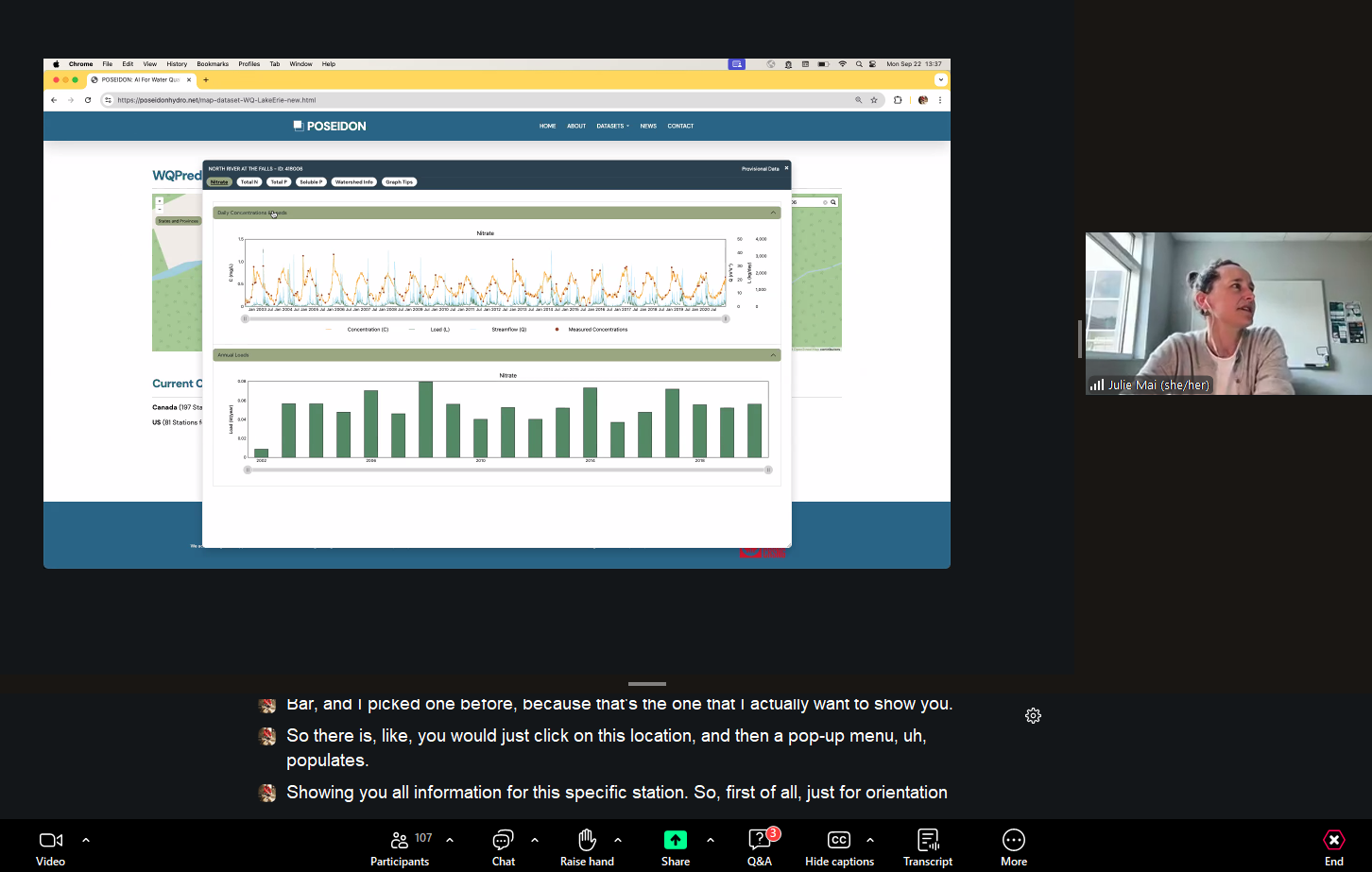Screen capture of the interface