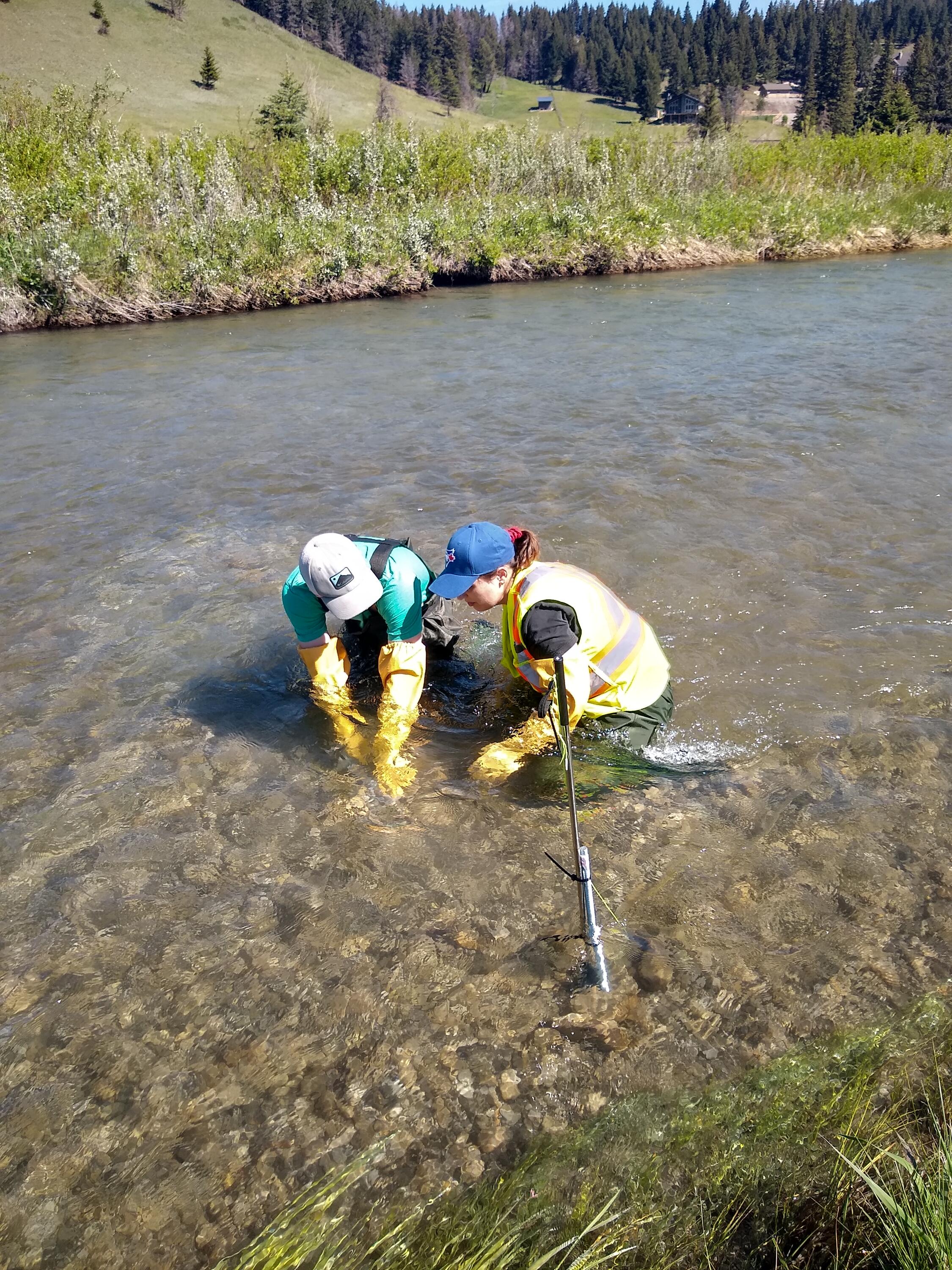 Collecting river samples