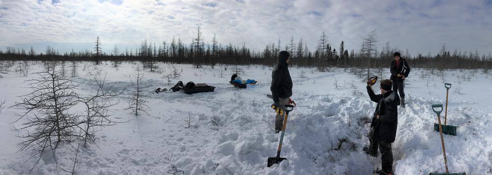 Students in the field in the winter