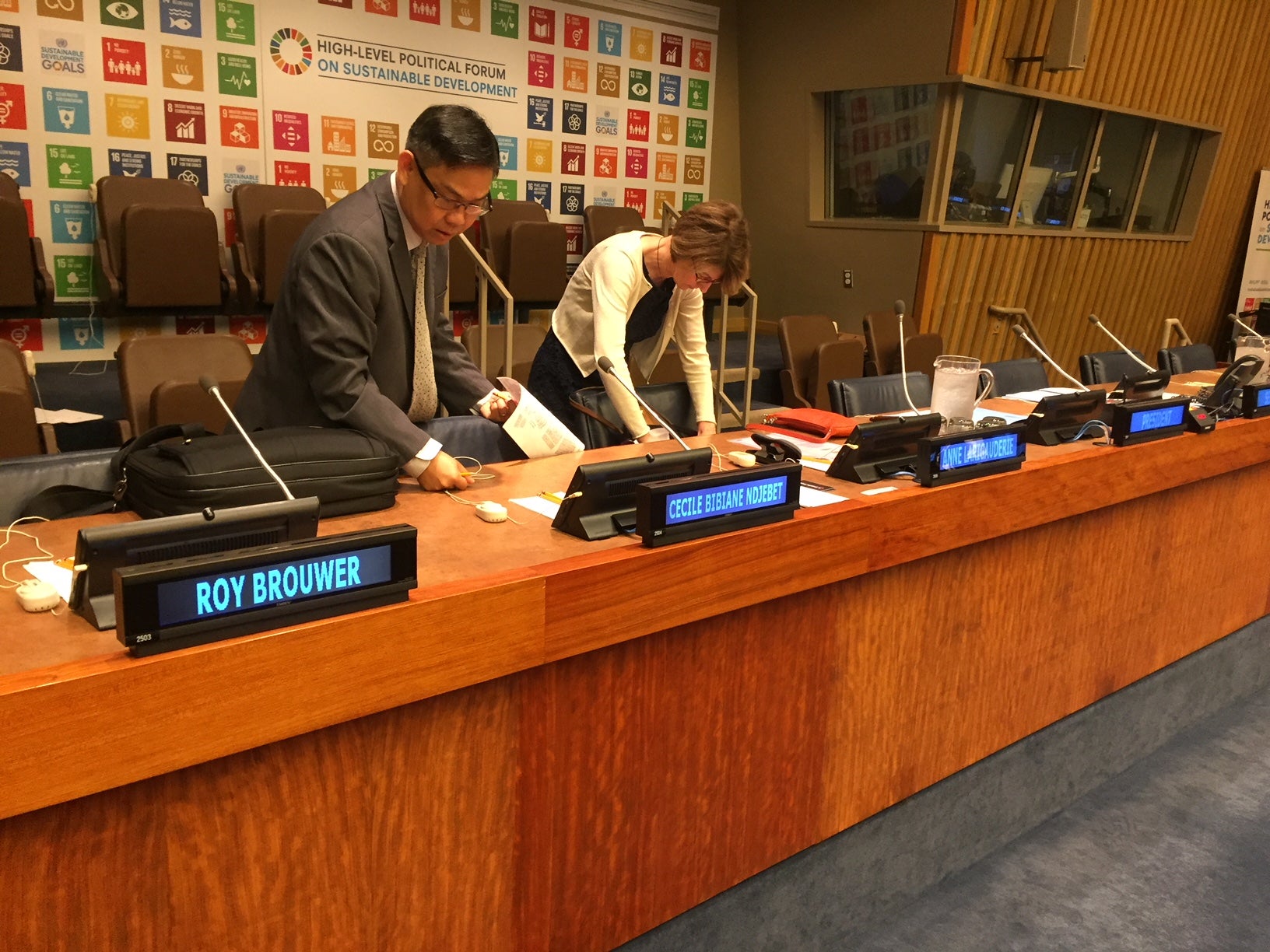 Roy Brouwer at United Nations High-Level Political Forum on Sustainable Development 