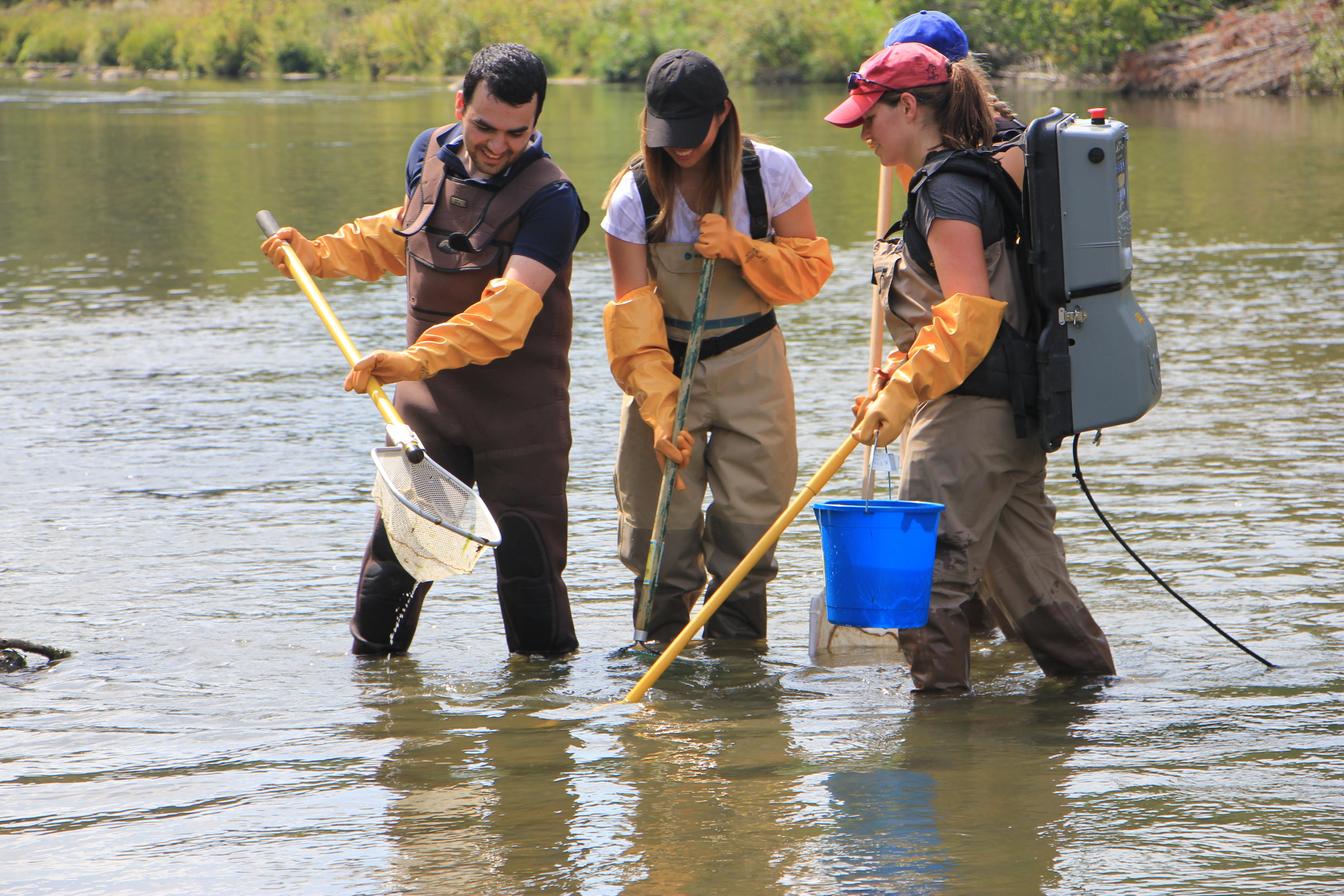students electrofishing in grand river
