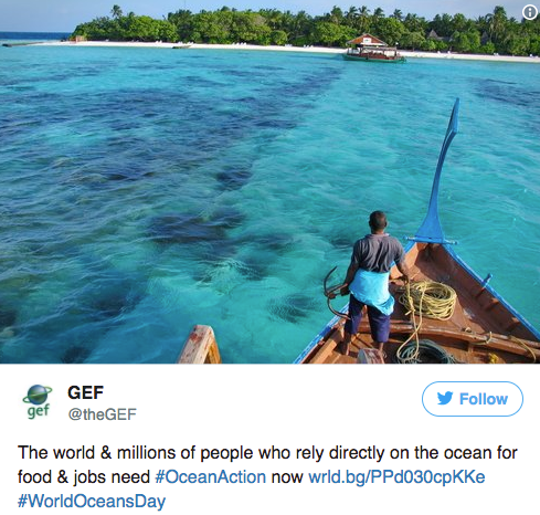 Twitter image of man on boat heading towards an island
